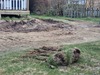 web_2022-04-28_171625_20220428_171625.jpg