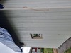 web_2022-08-27_115757_20220827_115757.jpg
