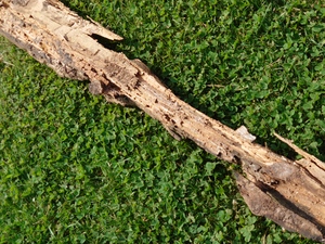 web_2021-07-02_144514_2021-07-02_144514_DSC_9752.jpg