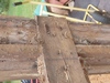 web_2021-06-25_171025_2021-06-25_171025_DSC_9676.jpg