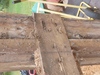 web_2021-06-25_171027_2021-06-25_171027_DSC_9677.jpg