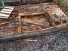 web_2021-06-25_173512_2021-06-25_173512_DSC_9680.jpg