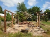 web_2021-07-03_141928_2021-07-03_141928_DSC_9785.jpg