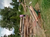 web_2021-07-13_090139_2021-07-13_090139_DSC_9895.jpg