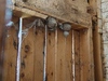 web_2021-04-17_151726_2021-04-17_151726_DSC_9424.jpg